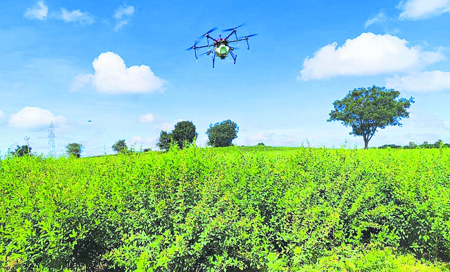 సాగులో కొత్త పుంతలు 1