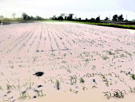 వదలని వర్షం.. తీరని నష్టం1