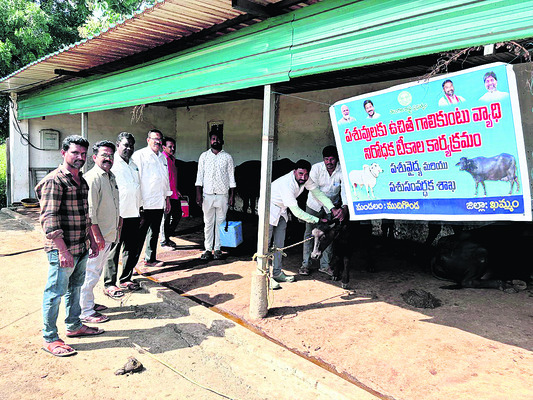 వరి కోతల్లో జాగ్రత్తలతో అధిక దిగుబడి
1