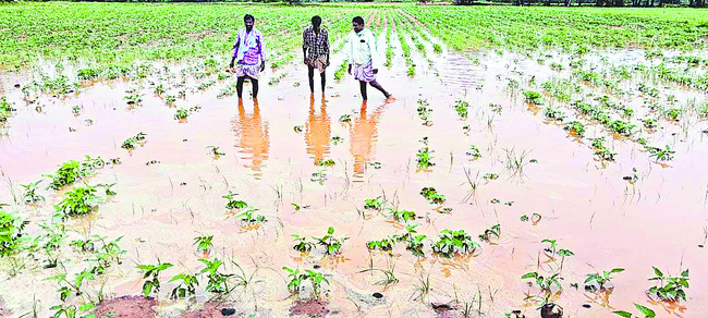 ముంచెత్తిన వాన 2