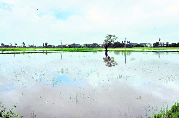 ముంచెత్తిన వాన2