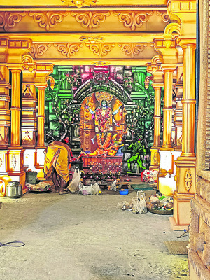 ఘనంగా మా శ్యామకాళీ ఉత్సవాలు1