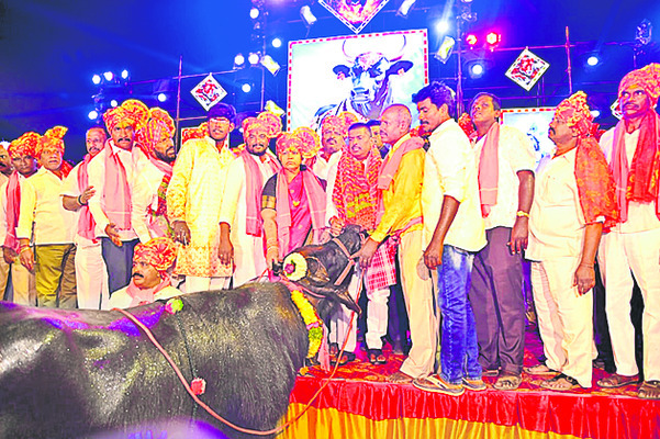 2న కార్తీక వన భోజనాలు2