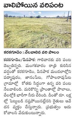 రమణీయం..  రామయ్య కల్యాణం1