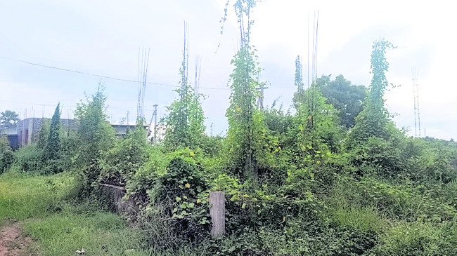 గృహయోగం లేనట్టేనా? 1