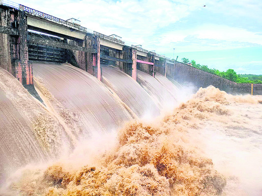 అనుబంధానికి ప్రతీక 
1