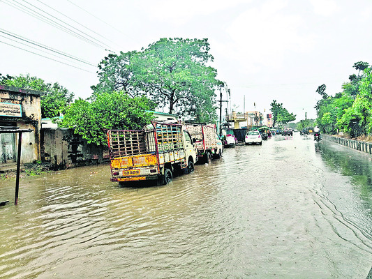 ● పత్తి చే‘జారి’పోతోంది..!1