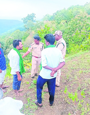 కడ్డోడి శివారులో పులి సంచారం1