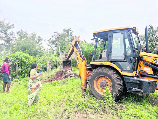 ముంచిన ‘ఆయిల్పామ్’1