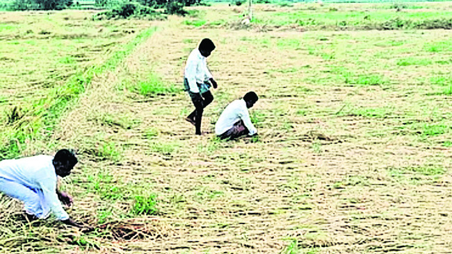 వణికించిన భారీ వర్షం 2
