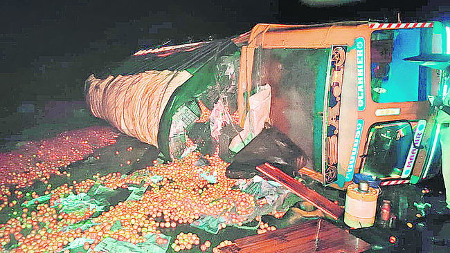 ఎర్రచందనం పట్టివేత 1
