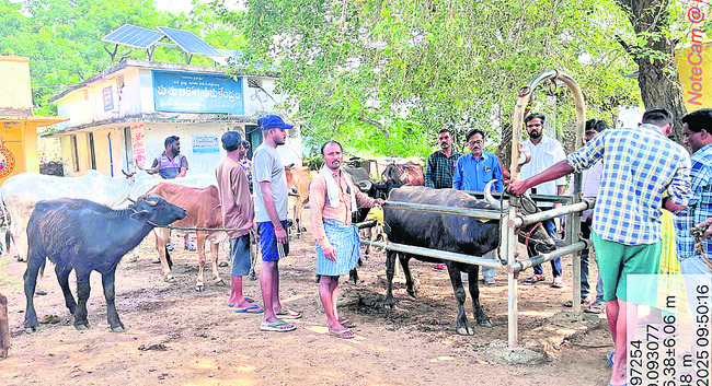 ‘యూనిటీ మార్చ్’ను  విజయవంతం చేయాలి1