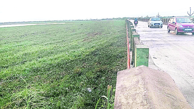 కొల్లేరుకు ముంపు ముప్పు 1