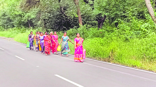 రోడ్డు ప్రమాదంలో లారీ డ్రైవర్ మృతి 2