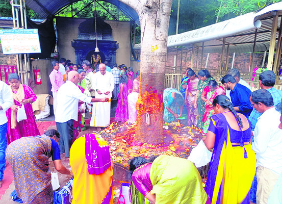 శ్రీవారి క్షేత్రంలో భక్తుల రద్దీ సాధారణం 1