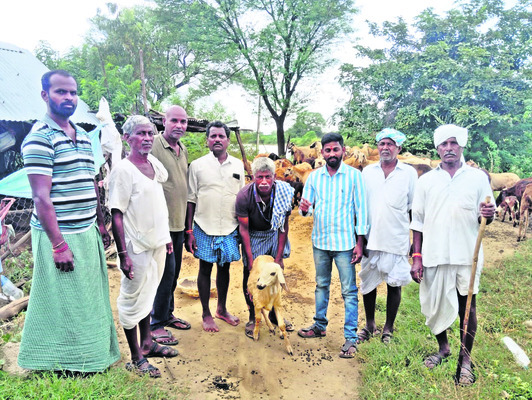జీవ వైవిధ్యంతోనే  పర్యావరణ పరిరక్షణ 
1