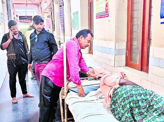 తేనెటీగల దాడిలో  50 మందికి గాయాలు 2