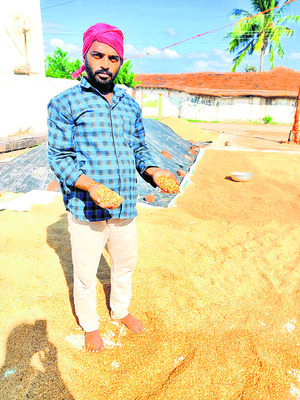 ధాన్యం వర్షార్పణం2