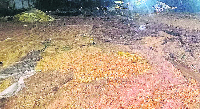 ధాన్యం వర్షార్పణం1