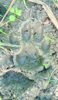 స్కాలర్షిప్ నిధులు విడుదల చేయాలని ర్యాలీ 
2