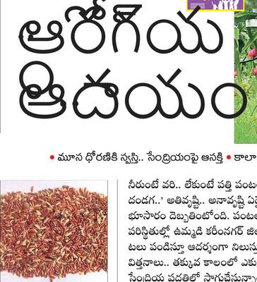 ఆదివారం శ్రీ 26 శ్రీ అక్టోబర్ శ్రీ 20251