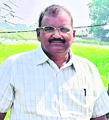 వరుస వర్షాలతో తెగుళ్లు1
