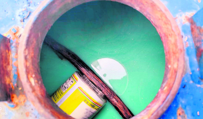 పసుపు పంటపై విష ప్రయోగం1