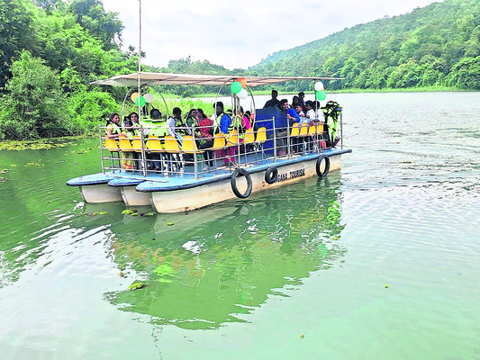 పెద్దమ్మతల్లికి  విశేష పూజలు1