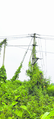 ఆదమరిస్తే.. అంతే! 1