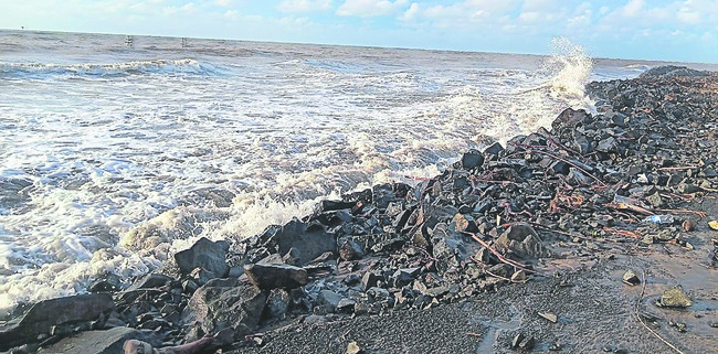 మోంథాకిడి3