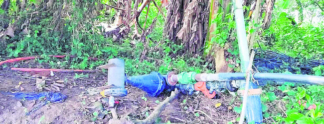 వీడని గజరాజుల బెడద2