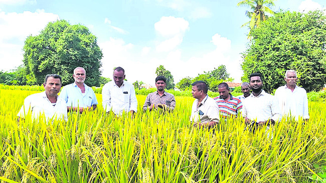 డ్రగ్స్ రహిత సమాజం నిర్మిద్దాం : జడ్జి స్వరూపరాణి3