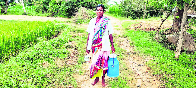వామ్మోంథా! 3