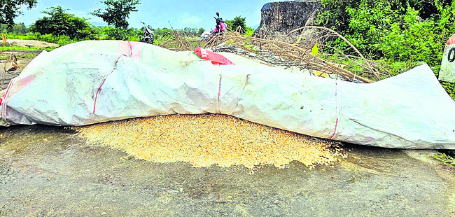 అన్నదాతలో తుఫాన్ వణుకు 3