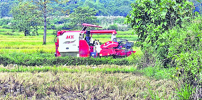 పాఠశాలలకు సెలవు 
1