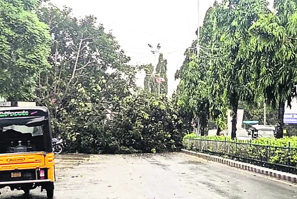 వర్ష బీభత్సం2