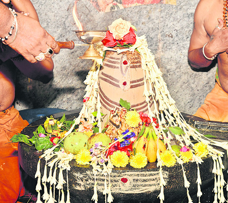● కార్తీక శోభ 3