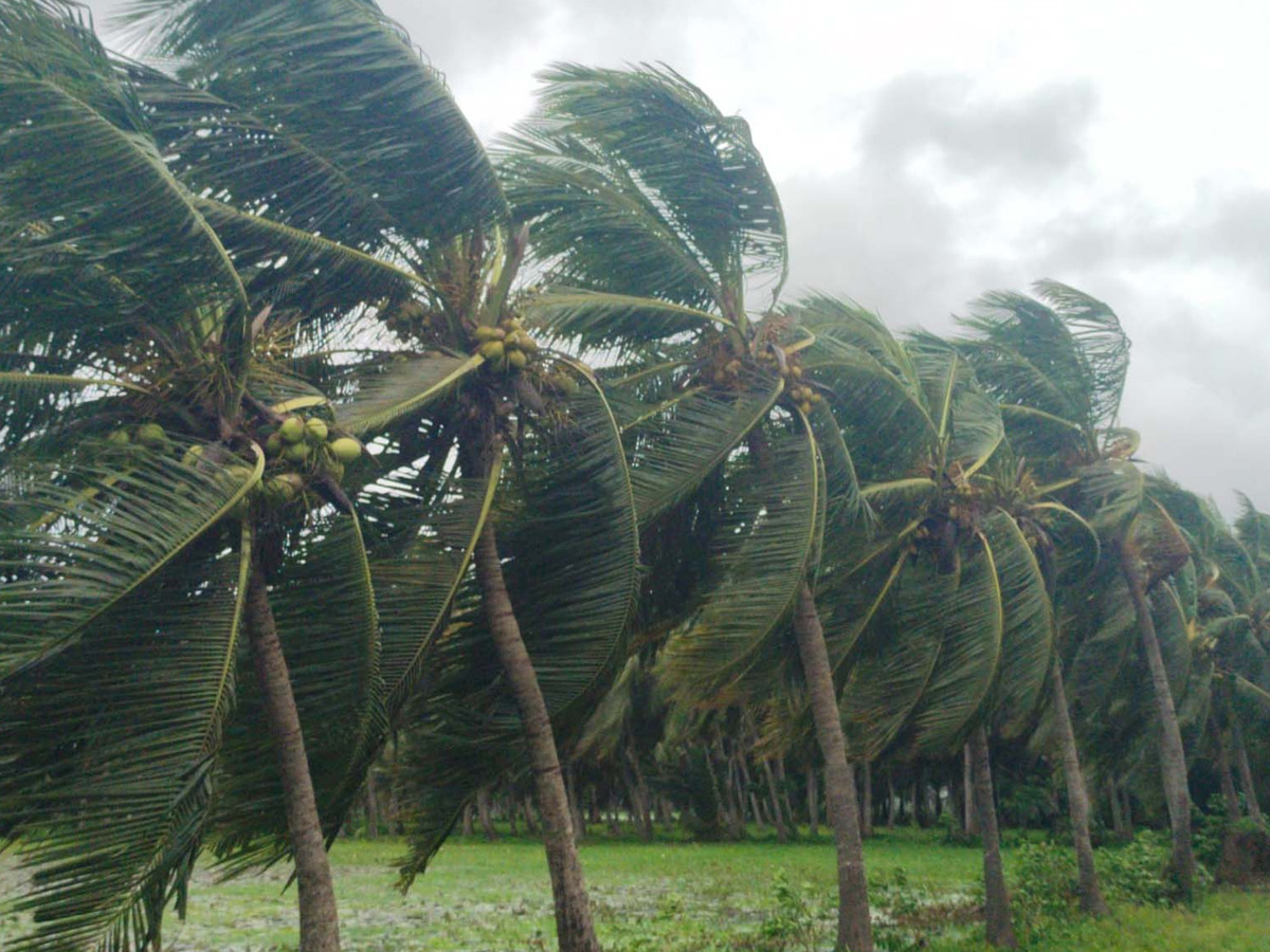 Cyclone Montha Slams AP Coast Photos17