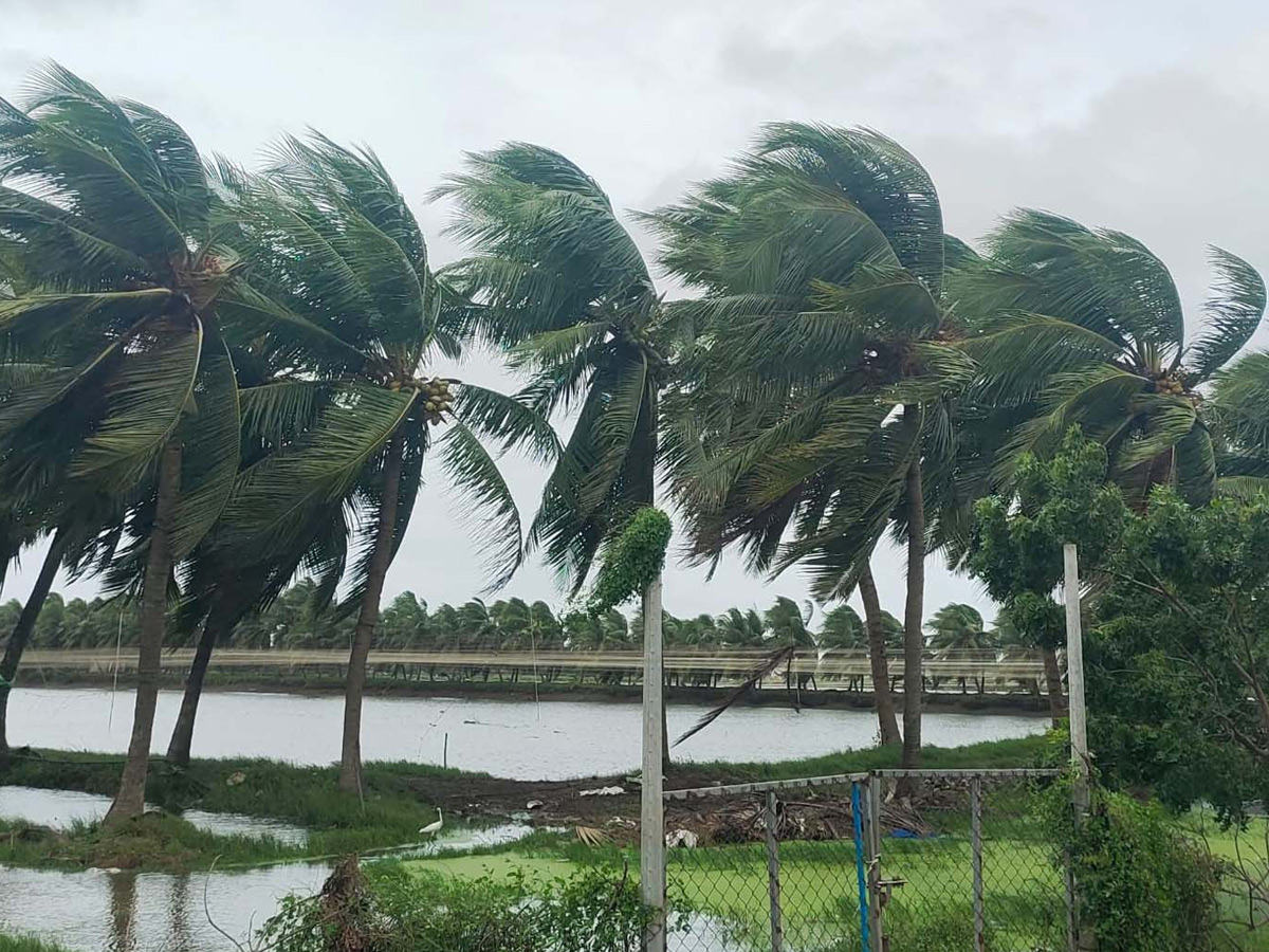 Cyclone Montha Slams AP Coast Photos18