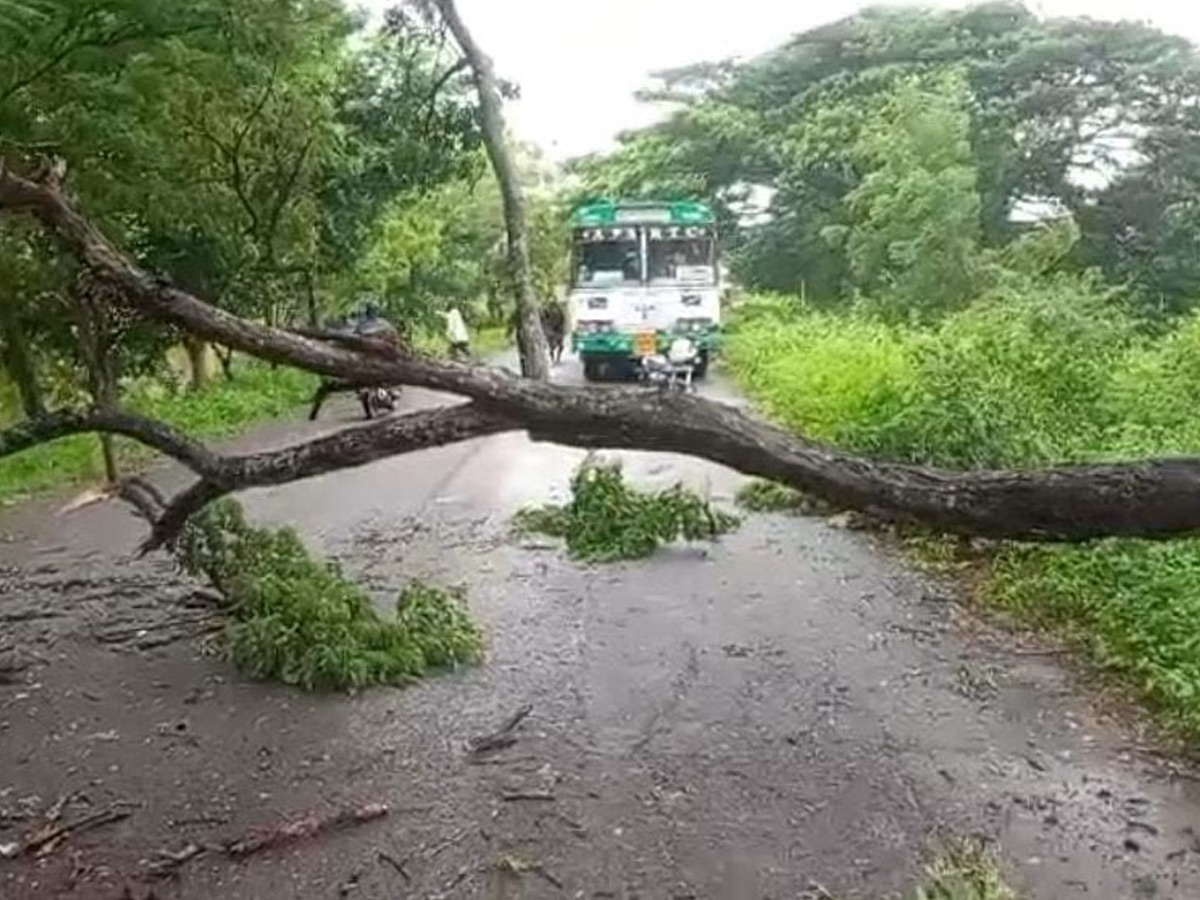 Cyclone Montha Slams AP Coast Photos23