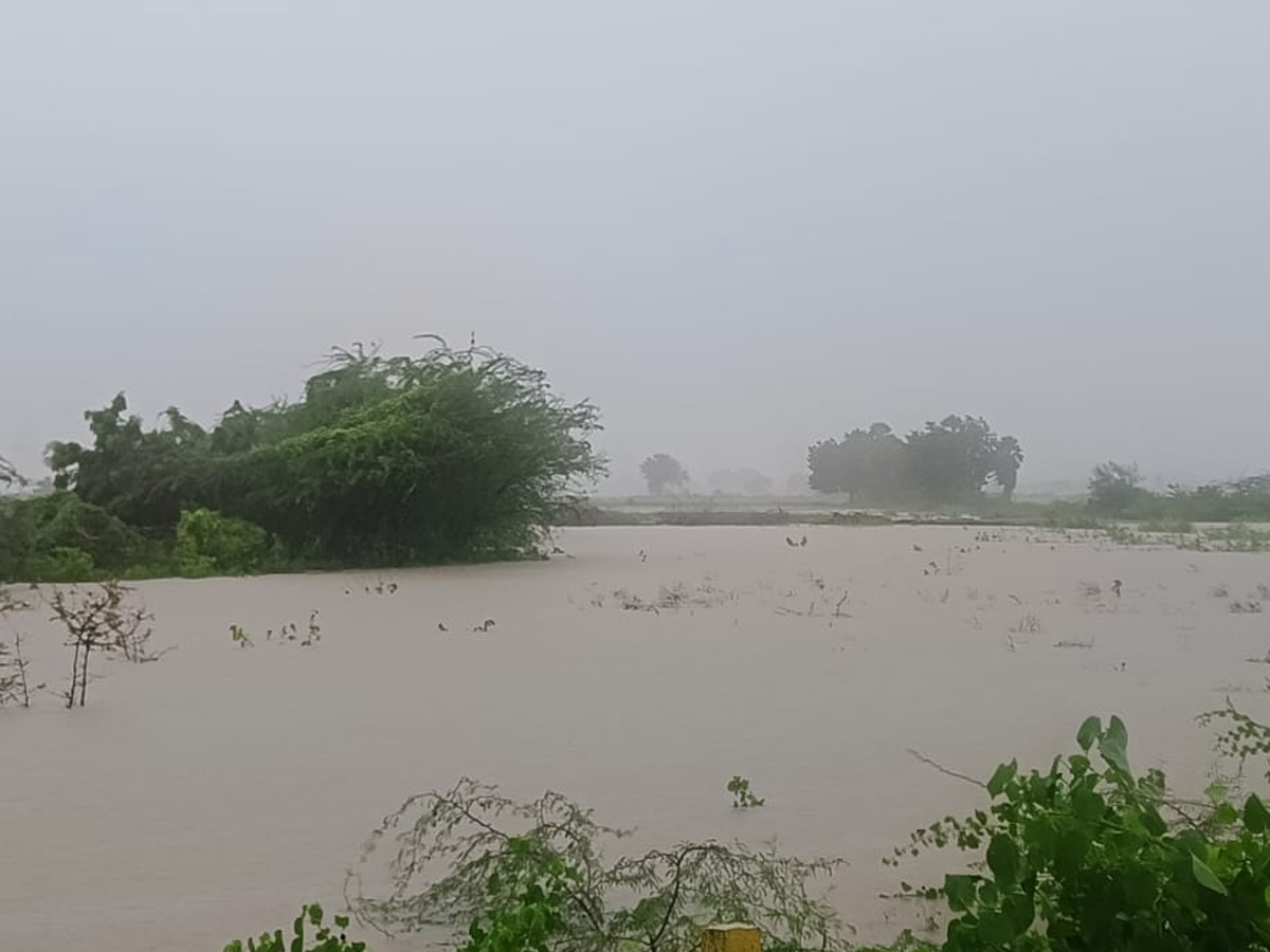 Cyclone Montha Slams AP Coast Photos39