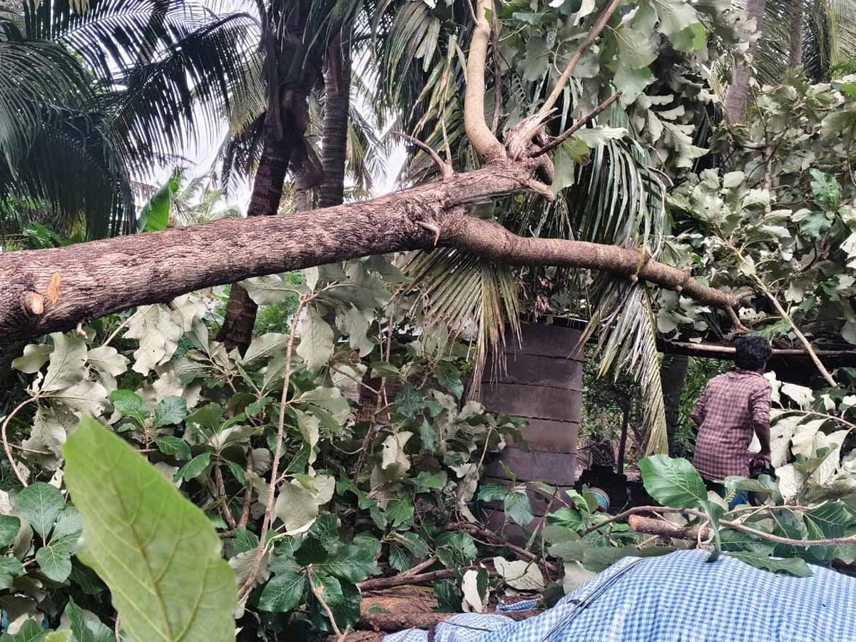 Cyclone Montha Slams AP Coast Photos9