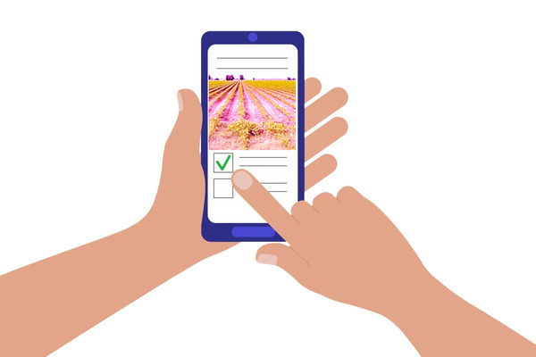 క్రాప్ బుకింగ్లో ముందంజ2