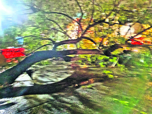 వర్ష బీభత్సం5