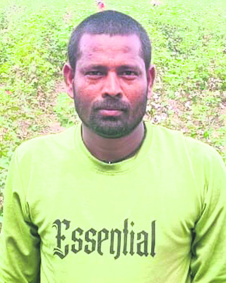 పత్తికి ఆంధ్రా కూలీలు1