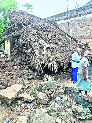 గూడు.. గోడు..1