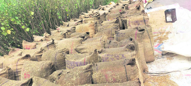 మోంథా గుబులు!1