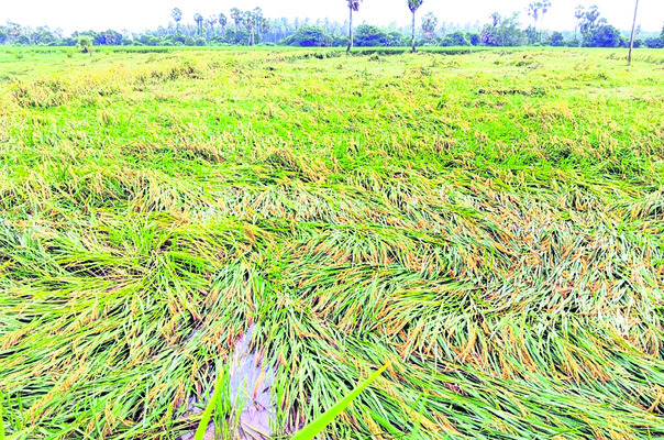 హడలెత్తించిన మోంథా1