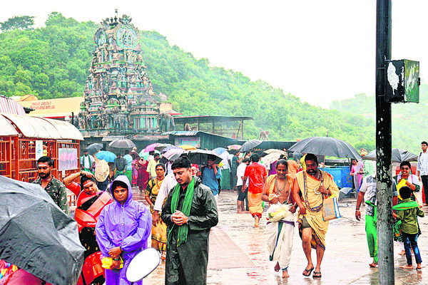 కమనీయం.. మురుగన్ కల్యాణోత్సవం2