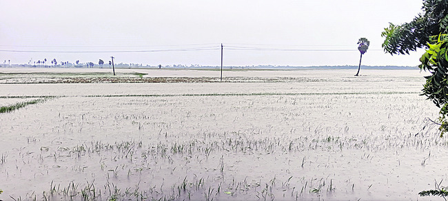 వణుకుతున్న తీర ప్రాంతవాసులు 
9